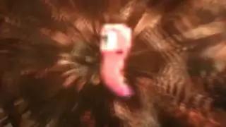 Worms Shooting Stars