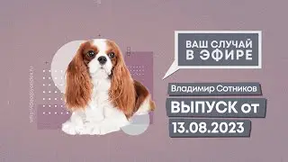 Ваш случай в эфире. Выпуск от 13.08.2024