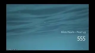 Bible Pearls 49 - 555