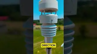 SHDD#31 - Ecowitt WittBoy Weather Station #weatherstation #weather #rain