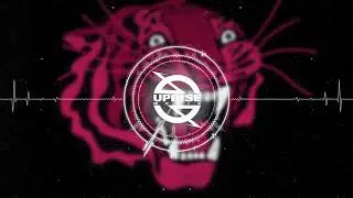 Needs No Sleep - Jungle Cat