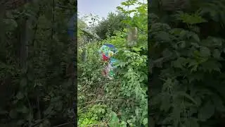Здесь должен быть цветущий сад, но человеческая жадность не имеет границ!🤷‍♀️ #шортс #дача