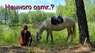 Пробуем конный ASMR