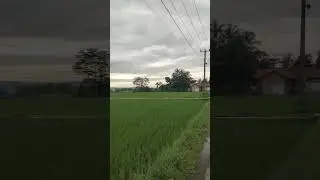 PEMANDANGAN ALAM,GUNUNG DAN SAWAH YANG INDAH‼️