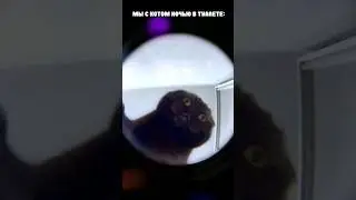 Дичь после качалки 😂