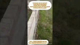 29 марта 2024 г.