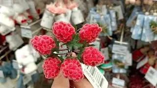 ☃️🍃Леруа Мерлен🎄🍂Новогодняя Сказка 2024☃️🍃