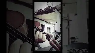 Despasito talava keman(mini)
