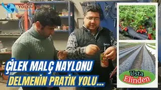Çilek Malç Naylonu Delmenin Pratik Yolu...