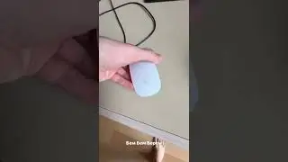 Литвин ловит Шпица 