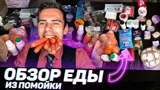 ЕДА из ПОМОЙКИ 10 | ЕМ ЕДУ из МУСОРНЫХ БАКОВ |