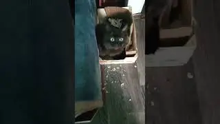 Зубки точим