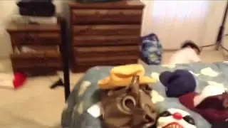 Fight of the day 8