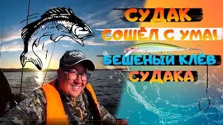Рыбалка на СУДАКА. Супер клев. Ловля судака на воблеры. Рыбалка 2021.Мечта, а не РЫБАЛКА. fishing
