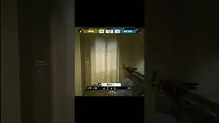 PULZG INSANE INFERNO WALLBANG #shorts