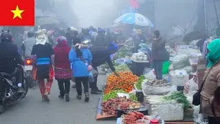 Discover the Lively Dào San Market During Vietnam's Lunar New Year Festivities