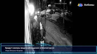 Хибины.com: Кража камер видеонаблюдения в Мончегорске