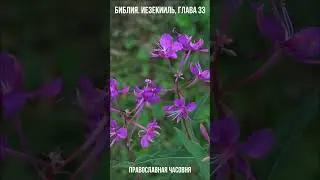 ЕСЛИ ОБРАТИШЬСЯ ОТ ГРЕХА - БУДЕШЬ ЖИВ!