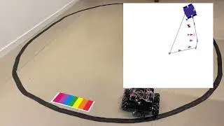 PetitCat explores its territory