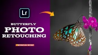Lightroom Mobile || BLACK Theme || butterfly Photo editing || tutorial - Amit paswan editz
