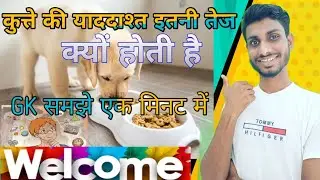GK Question And Answer, कौन ज्यादा इंटेलिजेंट है। आप तेज हैं तो आइए समझते हैं इस वीडियो में