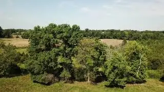 Holyfield 60’ West view