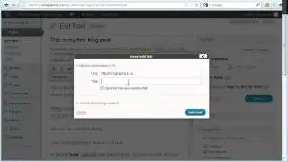 Creating and Editing WordPress Posts and Pages