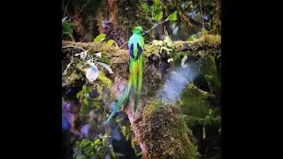 La verdadera naturaleza. Parte 7: Todos como animales