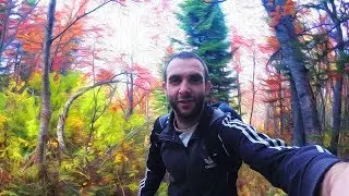 VLOG: Поход в горы! Холодный белок! Пасека!