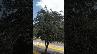 Chulada de cielo en Chihuahua ❤️