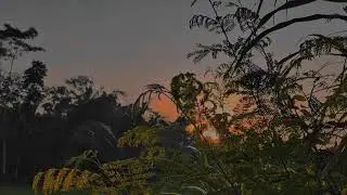 CINEMATIC ALAM DI PAGI HARI || CINEMATIC VIDIO