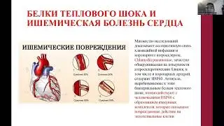 Белки теплового шока как маркеры атеросклероза, ИБС и других ССЗ. Классов Алибек Мурзабекович