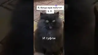 Когда муж получил зарплату