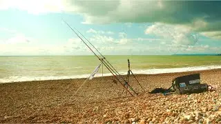 we never used to catch these here...
