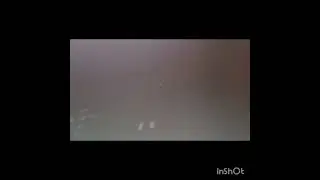 Лиса на приваде 13 Подранок ушёл.