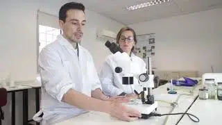 Lab 1: The Stereoscopic Microscope