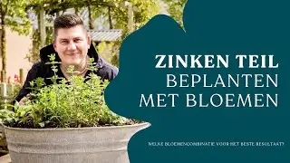 Tuinieren in een zinken teil: creëer een prachtig bloemenfeest I Angelo Dorny