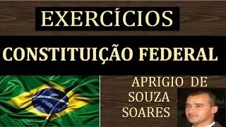 EXERCÍCIOS - CONSTITUIÇÃO FEDERAL-53