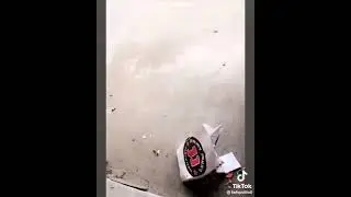 Попробуй не засмеяться😂😂