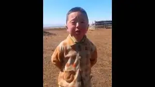 песня