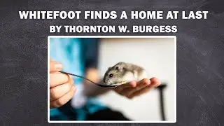 WHITEFOOT FINDS A HOME AT LAST - Whitefoot the Woodmouse / to listen the book