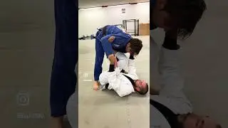 Bjj Takedown - TRIPOD SWEEP and SPIDER GUARD SWEEP 