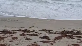 Beautiful Beach - Pudumadam Near Rameshwaram