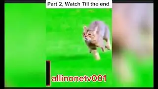 Funny soccer Football | Goals | Skills | Fails | Dribble - Part 2
