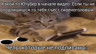 👀 #NikKat