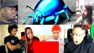Blue Beetle Trailer Reaction Mashup