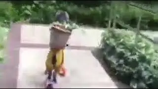 0 BOBUX