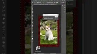 Extend Image in Photoshop | Photoshop Tutorial #shorts