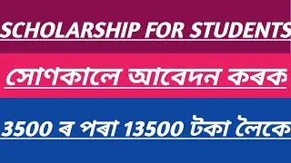 NSP Scholarship 2024-25 Apply | SC SCHOLARSHIP | Explained Terms & Conditions In Assamese|BCB ASSAM|
