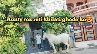 Ye ghoda roz aajata hai ghumte hue😍